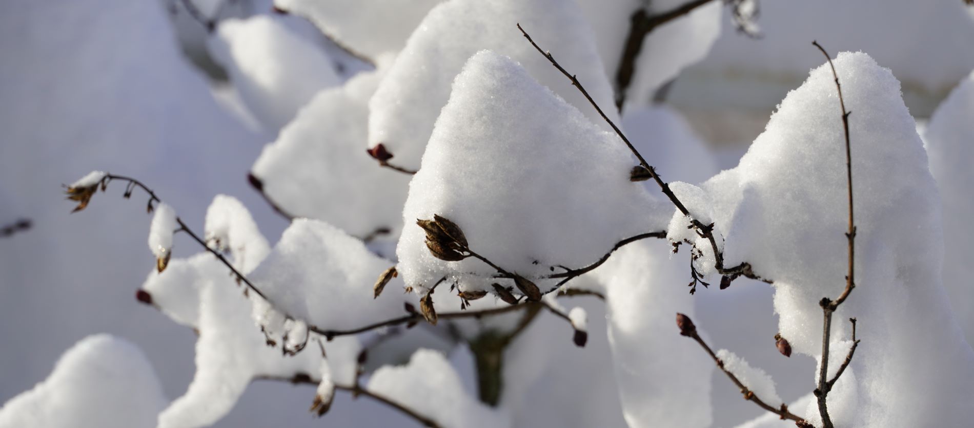 Winter in Tirol